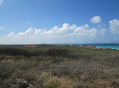 Enlarge photo 58
