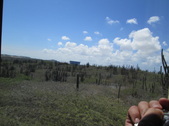 Enlarge photo 68