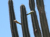 Enlarge photo 71