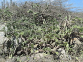 Enlarge photo 73