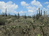 Enlarge photo 74