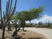Enlarge photo 77