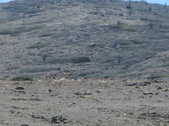 Enlarge photo 84