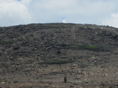 Enlarge photo 85