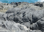 Enlarge photo 87