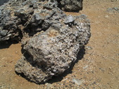 Enlarge photo 93