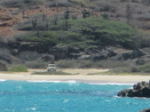 Enlarge photo 94