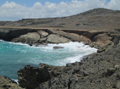 Enlarge photo 99