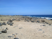 Enlarge photo 102