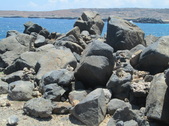 Enlarge photo 103