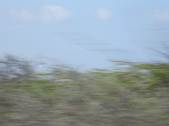 Enlarge photo 122