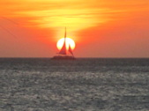 Enlarge photo 130