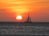 Enlarge photo 131