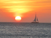 Enlarge photo 132
