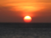Enlarge photo 133