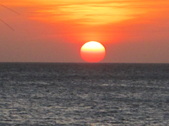 Enlarge photo 134