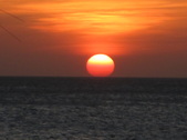 Enlarge photo 135