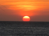 Enlarge photo 137