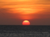 Enlarge photo 141