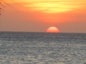 Enlarge photo 146