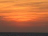 Enlarge photo 156