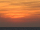 Enlarge photo 157