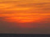 Enlarge photo 159