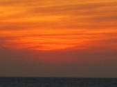 Enlarge photo 160