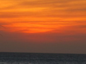 Enlarge photo 161