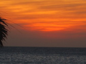Enlarge photo 162
