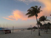 Enlarge photo 164