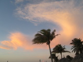 Enlarge photo 165