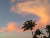 Enlarge photo 168