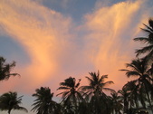 Enlarge photo 169