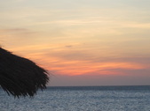 Enlarge photo 170