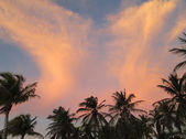 Enlarge photo 171