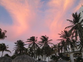 Enlarge photo 174
