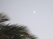 Enlarge photo 176