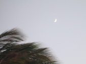Enlarge photo 177