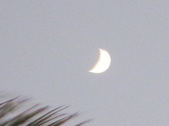 Enlarge photo 178