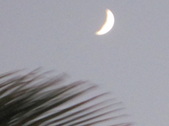 Enlarge photo 179