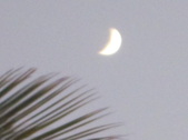 Enlarge photo 180