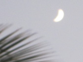 Enlarge photo 181