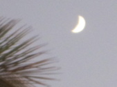 Enlarge photo 182