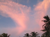 Enlarge photo 183