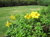 Enlarge photo 192