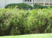 Enlarge photo 194