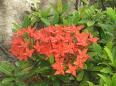 Enlarge photo 196