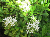 Enlarge photo 197