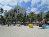 Enlarge photo 205
